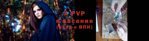 apvp Краснослободск