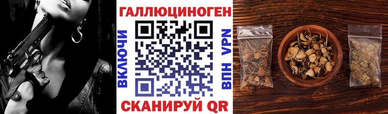 Купить где  Краснокаменск  Галлюциногенные грибы Psilocybe 